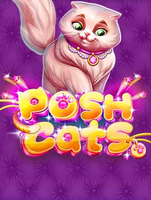 Posh Cats